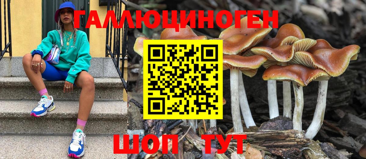 Галлюциногенные грибы мухоморы  Вход с VPN  Псилоцибиновые грибы Psilocybe  Орск 
